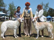 INTERNATIONAL DOGSHOW to UMAG (Croatia)