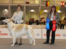 INTERNATIONAL DOGSHOW SPECIAL CLUB SHOW to PADOVA