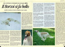 rivista - magazine CANI