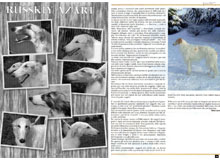 rivista - magazine CANI