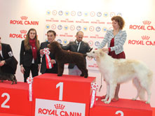 RUSSKIY AZART CERARUS VALIANT INVICTUS